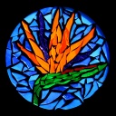Bird of Paradise