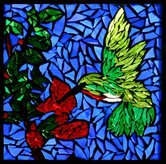 hummingbird_189247925
